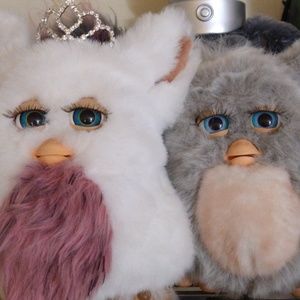 Meet your Posher, Lily